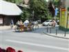 Kliknij aby obejrzec w pelnym rozmiarze 